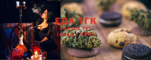 гидра Елабуга
