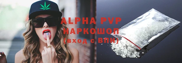гидра Елабуга