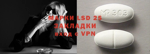 гидра Елабуга