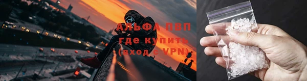 гидра Елабуга
