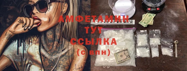 дурь Ельня