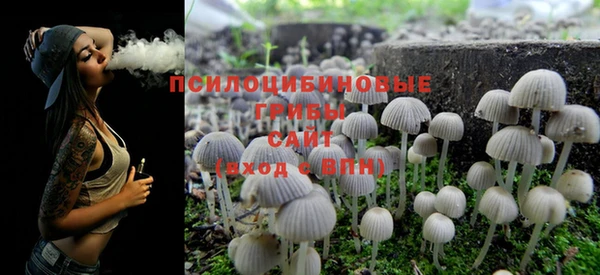дурь Ельня