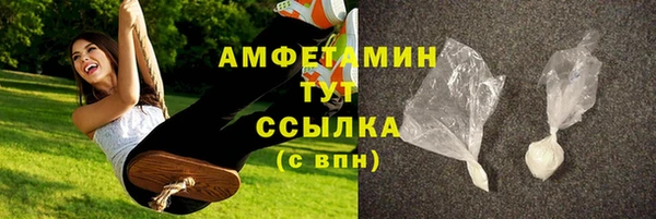 гидра Елабуга