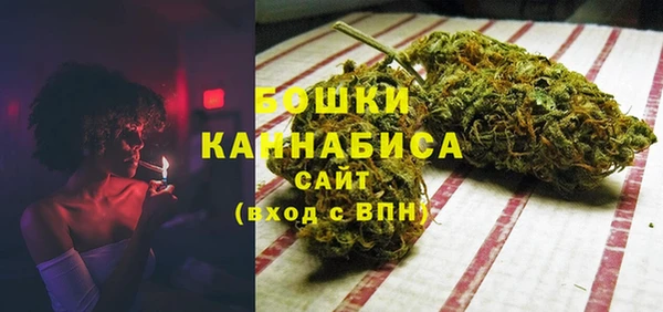 гидра Елабуга