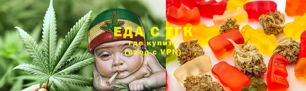 гидра Елабуга