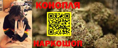 сатива Заводоуковск