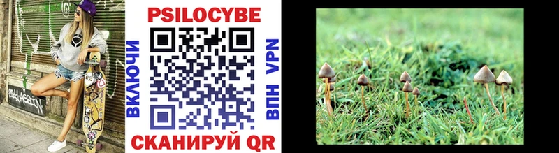 Псилоцибиновые грибы Magic Shrooms Отрадный