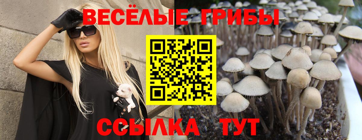 Отрадный  Галлюциногенные грибы мухоморы  даркнет сайт  Вход с VPN 